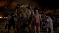 Tak heran, film yang diadaptasi dari film animasi yang rilis pada 1967 silam ini memang mengambil hutan sebagai latarnya. Foto: Disney Enterprises, Inc