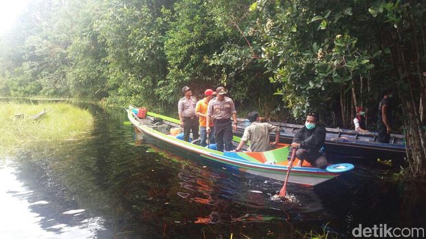 Orangutan diangkut menggunakan perahu 