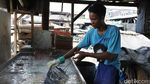 Terkendala Hujan, Produksi Ikan Asin di Angke Kembali Normal