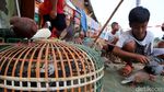 Melatih Burung Dara