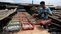Ikan asin basah dijual Rp 10.000.