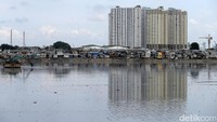 Dimusim penghujan ini Pemprov DKI Jakarta terus melakukan pengerukan Waduk Pluit.