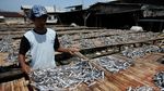 Terkendala Hujan, Produksi Ikan Asin di Angke Kembali Normal