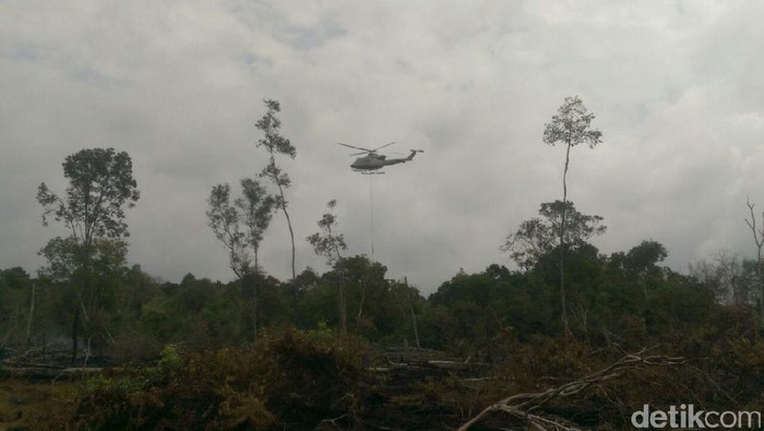Ilustrasi Kebakaran hutan di Riau (Chaidir-detikcom)