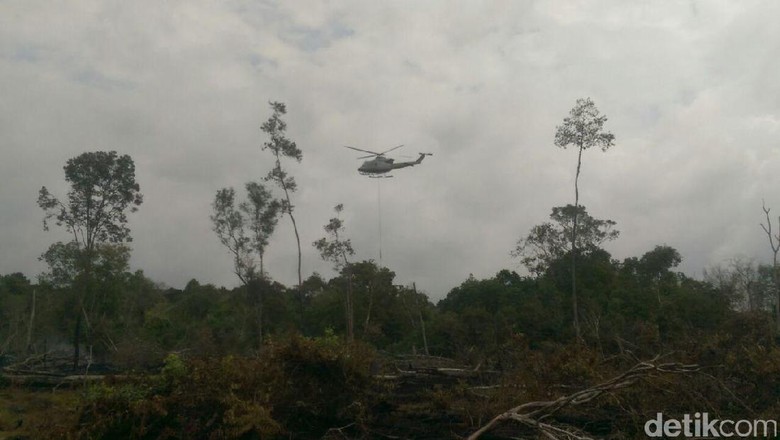 8 Hektare Kebun Sawit di Aceh Terbakar 8 Hektare Kebun Sawit di Aceh Terbakar