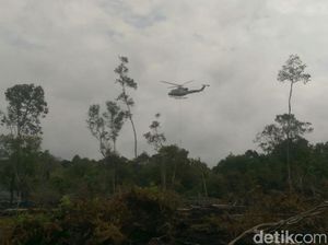 BPBD Catat 162,91 Hektare Lahan di Jambi Sudah Terbakar