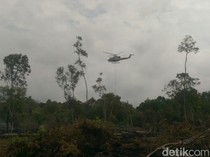 Perusahaan Disegel Kementerian LH Terkait Karhutla di Luar Konsesi