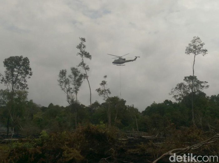 Ilustrasi Kebakaran hutan di Riau (Chaidir-detikcom)