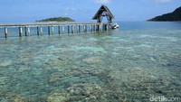 Foto: Air laut di Pulau Bawah super jernih. Tampak ikan warna-warni yang asyik bermain di sekelilingnya (Randy/detikTravel)