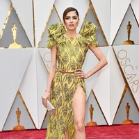 Blanca Blanco, Annual Academy Awards at Hollywood & Highland Center on February 26, 2017 in Hollywood, California.  (Photo by Frazer Harrison/Getty Images)