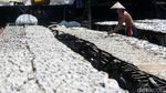 Terkendala Hujan, Produksi Ikan Asin di Angke Kembali Normal