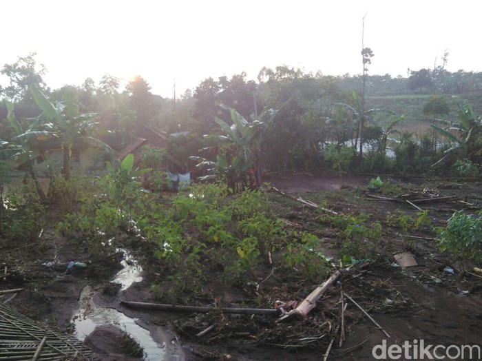 Gagal Panen Akibat Banjir, Petani di Garut Merugi Hingga Rp 1 M