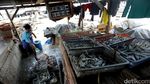 Terkendala Hujan, Produksi Ikan Asin di Angke Kembali Normal