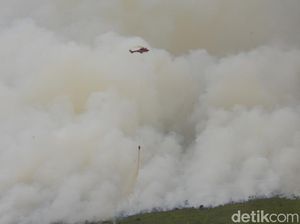 Cegah Kebakaran Hutan di Jambi, BRG Bangun Sumur Bor Air di Lahan Gambut