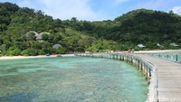 Foto: Dermaga yang menjorok dari tengah laut menuju Resor Pulau Bawah. Tampak jelas hamparan pasir putih serta air laut yang bening bak kaca (Randy/detikTravel)