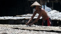 Kini aktivitas pembuatan ikan asin kembali normal.
