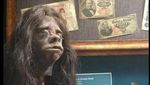 Foto: Koleksi Awetan Kepala Manusia yang Disingkirkan Museum