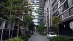 Nikmati Suasana Sore di Chippendale, Sydney