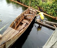 Berperang Melawan Illegal Logging di Cagar Biosfer