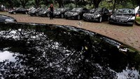 Kebanyakan mobil yang terparkir itu adalah jenis sedan Mercedes-Benz berwarna hitam.