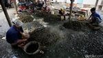 Imbas Reklamasi, Tangkapan Kerang Hijau di Angke Berkurang