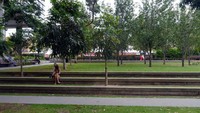 Traveler juga bisa menikmati suasana damai di Central Park, taman kota keren yang ada di tengah Sydney. Di ruang terbuka hijau ini, traveler bisa bersantai dan juga berolahraga dengan nyaman (Wahyu/detikTravel)