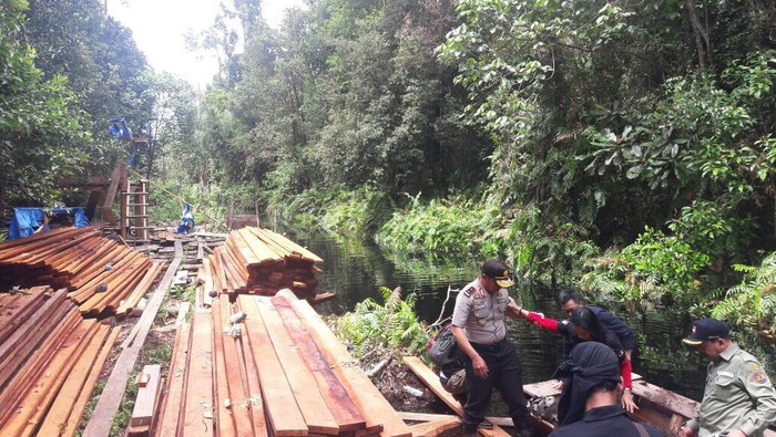Cagar Biosfer Dijarah, Polda Riau Bekuk 1 Pelaku