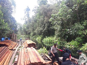 Cagar Biosfer Dijarah, Polda Riau Bekuk 1 Pelaku