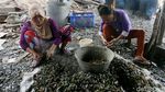 Imbas Reklamasi, Tangkapan Kerang Hijau di Angke Berkurang