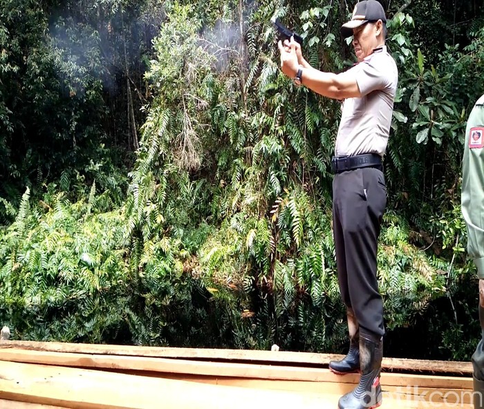 Berperang Melawan Illegal Logging di Cagar Biosfer