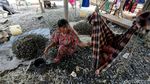 Imbas Reklamasi, Tangkapan Kerang Hijau di Angke Berkurang