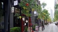 Namun kini, kawasan Chippendale menjelma sebagai kompleks kreatif yang punya banyak galeri-galeri seni, serta desainnya sangat kekinian. Wisatawan pun bisa berjalan-jalan dengan nyaman di Chippendale (Wahyu/detikTravel)