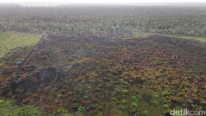 Pengusaha Gugat ke MK, Masyarakat Adat: Upaya Kambing Hitamkan Kami