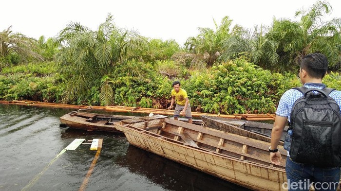 DPRD Minta KLHK Lakukan Pemutihan RTRW di Riau