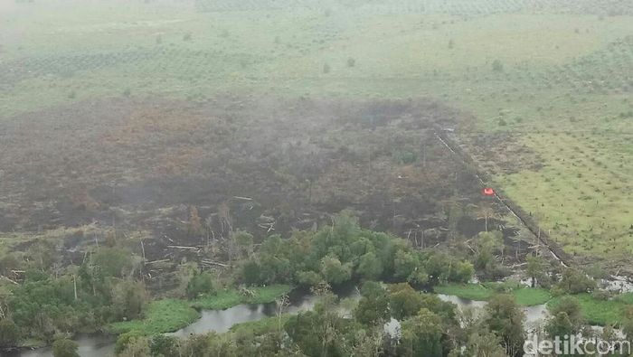 Foto: Dok Satgas Udara Kebakaran Hutan dan Lahan Foto: Dok Satgas Udara Kebakaran Hutan dan Lahan