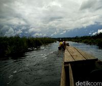 Berperang Melawan Illegal Logging di Cagar Biosfer