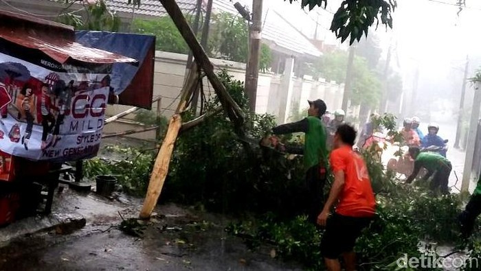 Hujan Deras di Jakarta, Pohon Tumbang di TB Simatupang