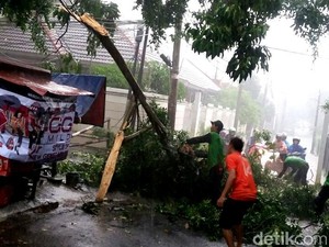 Hujan Deras di Jakarta, Pohon Tumbang di TB Simatupang