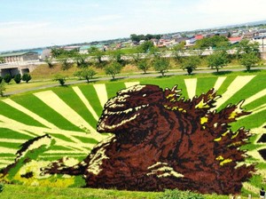 Crop Circle? Bukan, Ini Lukisan 3D Warga Jepang dari Tanaman Padi