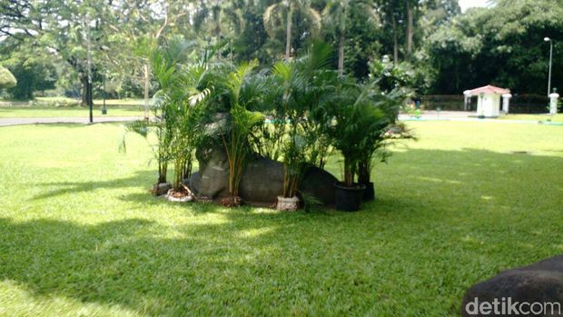 Kunjungan Raja Salman, Patung Telanjang di Istana Bogor Ditutup Pohon (Danu/detikTravel)
