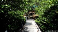 Anambas juga memiliki kawasan hutan mangrove di Pulau Kramat Siantan. Selain pohon bakau, pulau ini juga jadi lokasi dari makam keramat (Randy/detikTravel)
