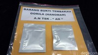 Ia tertangkap karena kedapatan memiliki tembakau gorila.