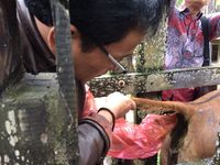  Melihat Suksesnya Peternakan di Lahan Eks Tambang di Kaltim