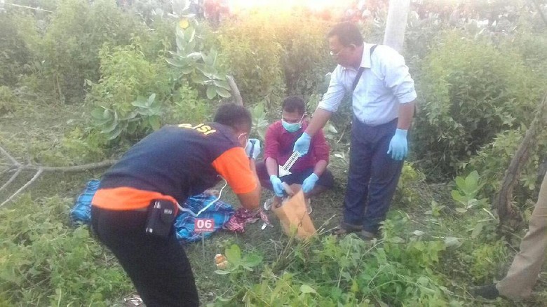 Wanita Muda Ditemukan Tewas di Semak-semak di Lombok Wanita Muda Ditemukan Tewas di Semak-semak di Lombok