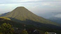 Bagi Anda yang ingin menikmati sensasi naik gunung tanpa harus berjauh-jauh dari Ibu Kota, Gunung Gede bisa menjadi jawabannya. Gunung ini merupakan bagian dari Taman Nasional Gede Pangrango yang mencakup tiga wilayah yaitu Bogor, Cianjur, dan Sukabumi. Gunung Gede memiliki beberapa tempat yang menjadi lokasi favorit para pendaki, diantaranya yaitu Alun-alun Suryakencana, Mandalawangi, Telaga Biru, Kandang Badak, dan Air Terjun Cibereum. Foto: Basri Bachtiar/dtraveler