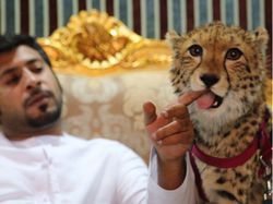 Potret Kemesraan Pria Arab dengan Singa Hingga Macan Tutul