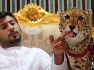 Tren Figur Publik Pelihara Satwa Liar, WWF: Biarkan di Habitatnya
