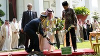 Raja Salman mengambil tanah menggunakan sekop untuk dimasukkan ke lubang penanaman yang sudah disiapkan. Pool/Setpres.