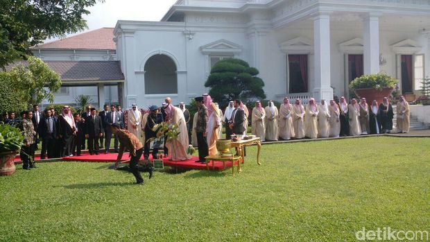 Usai Tanam Pohon Ulin, Raja Salman Tinggalkan Istana Merdeka