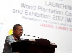 Kondisi Nyata Ekonomi RI dari Kacamata Darmin Nasution